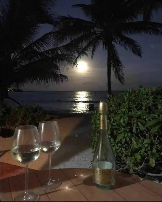Beachfront Akumal Half Moon Bay Apartment 0*,
